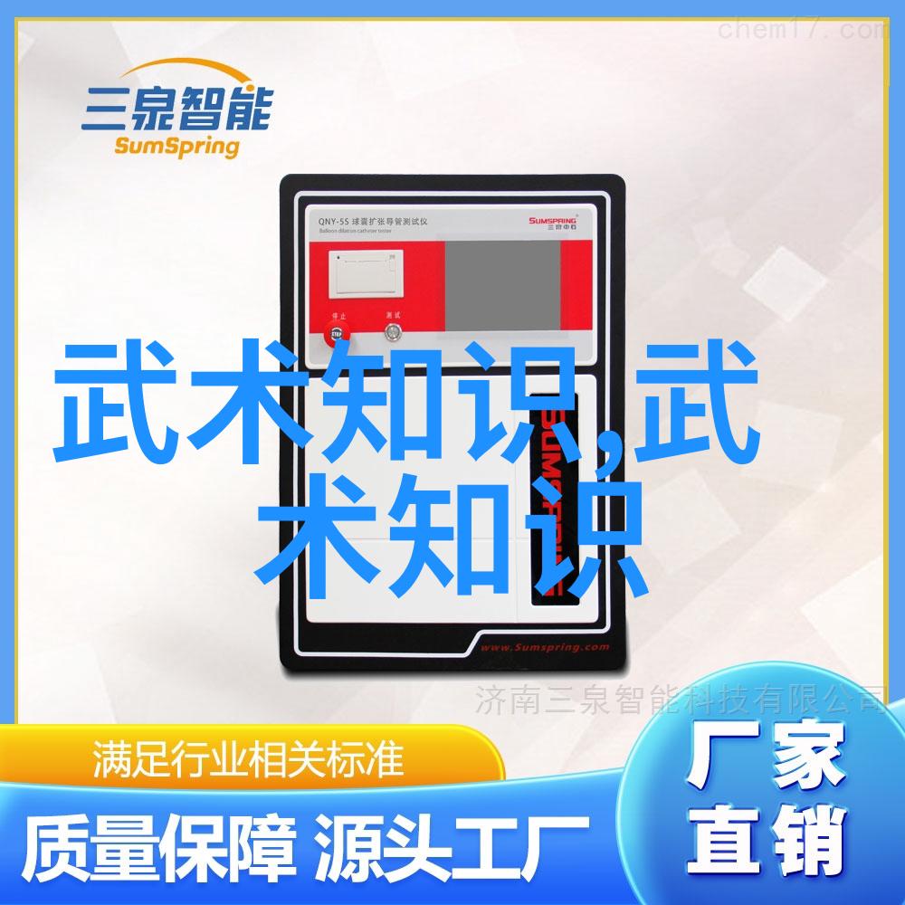 传统咏春拳法与现代改良版有何不同之处