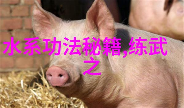 四根入三门-解密古代智慧四根入三门的深层含义