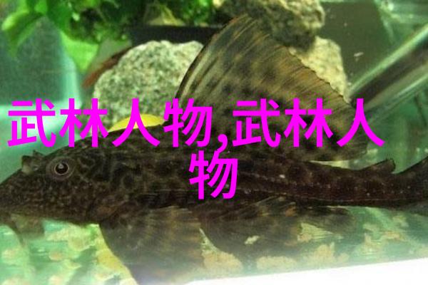花影幽兰女子帮派的风华