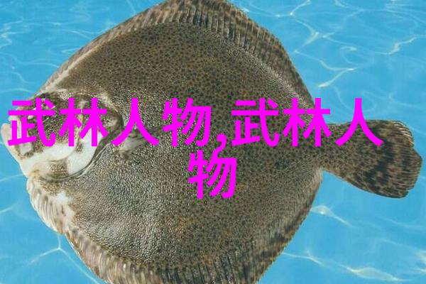 剪影刀光武林门派的绝世利刃