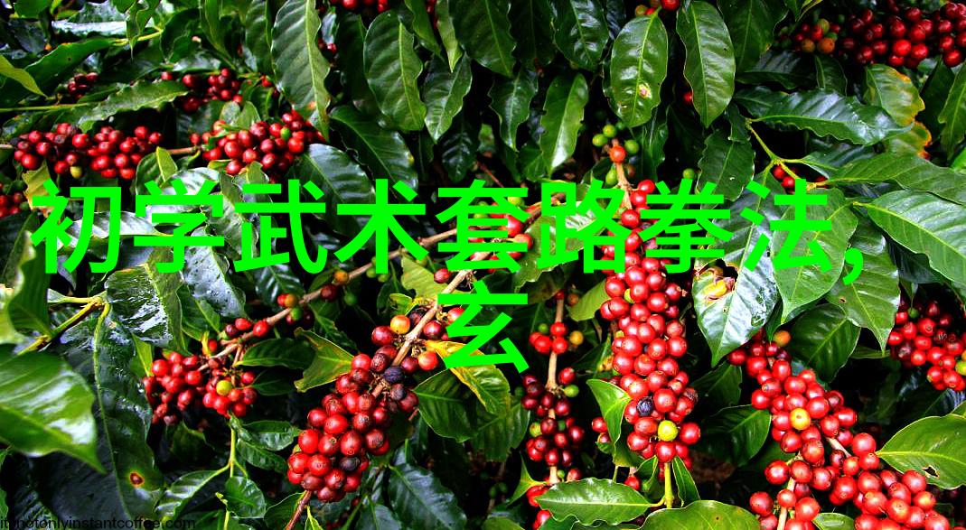 中国武术之美现存的门派与传统文化的魅力探究