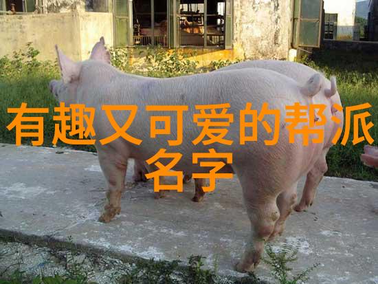 实战性最强的十大武术中华拳法泰国武艺印度瑜伽日本剑道中国太极拳韩国跆拳道泰国空手道印尼巴力叶塔克武术