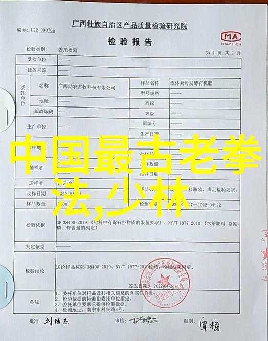 诗意云端疯拳与剑舞对决