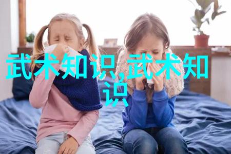 武术盛会之巅揭秘武林名家秘传技艺