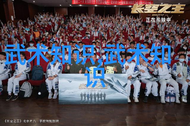 太极内功修炼法则太极拳式演练技巧解析阴阳互补之道太极哲学探究身体语言的智慧太极手势解读养生与武学并进
