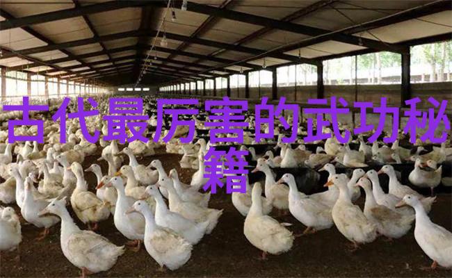 风水轮流转风手式的奥秘解析