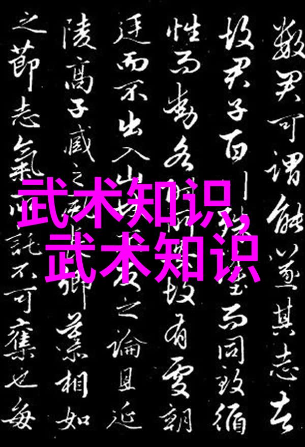 武术知识内功外形招式演练