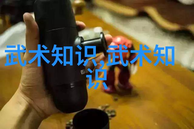 功夫大全揭秘内家拳法的精髓