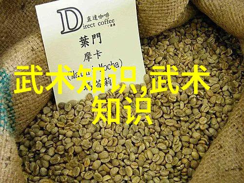 武术修炼境界划分大全揭秘太极拳中的内在深度