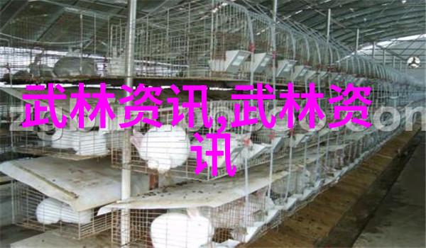 古风帮派叶式太极拳这门拳种似乎有着悠久的历史和深厚的文化底蕴就像是古代智者用心制定的一套武学秘籍静默