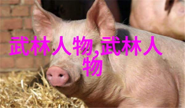 武术探秘-揭秘真正的武功秘籍内涵与实用