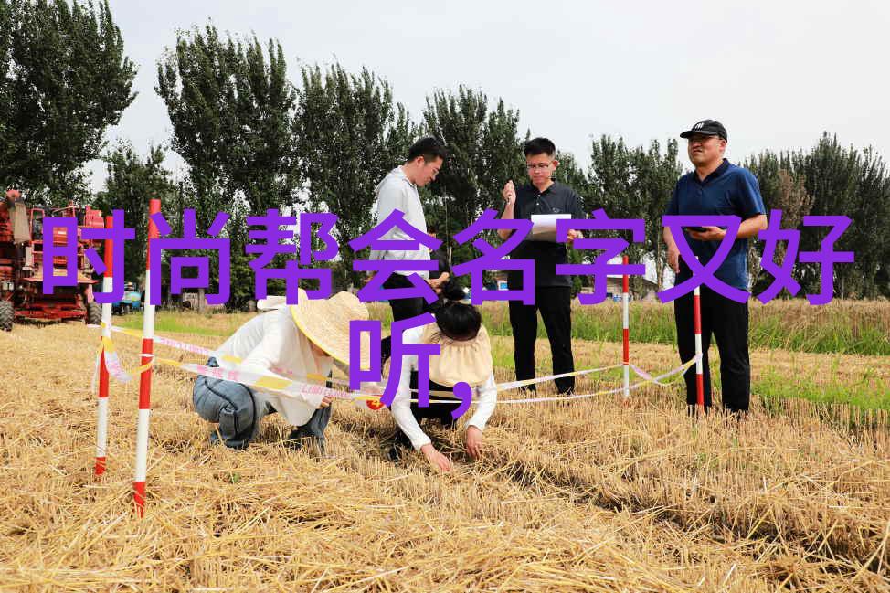 春韵拳影咏春武学之韵律篇