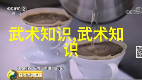武当全真龙门派传人金元宝的传奇之旅