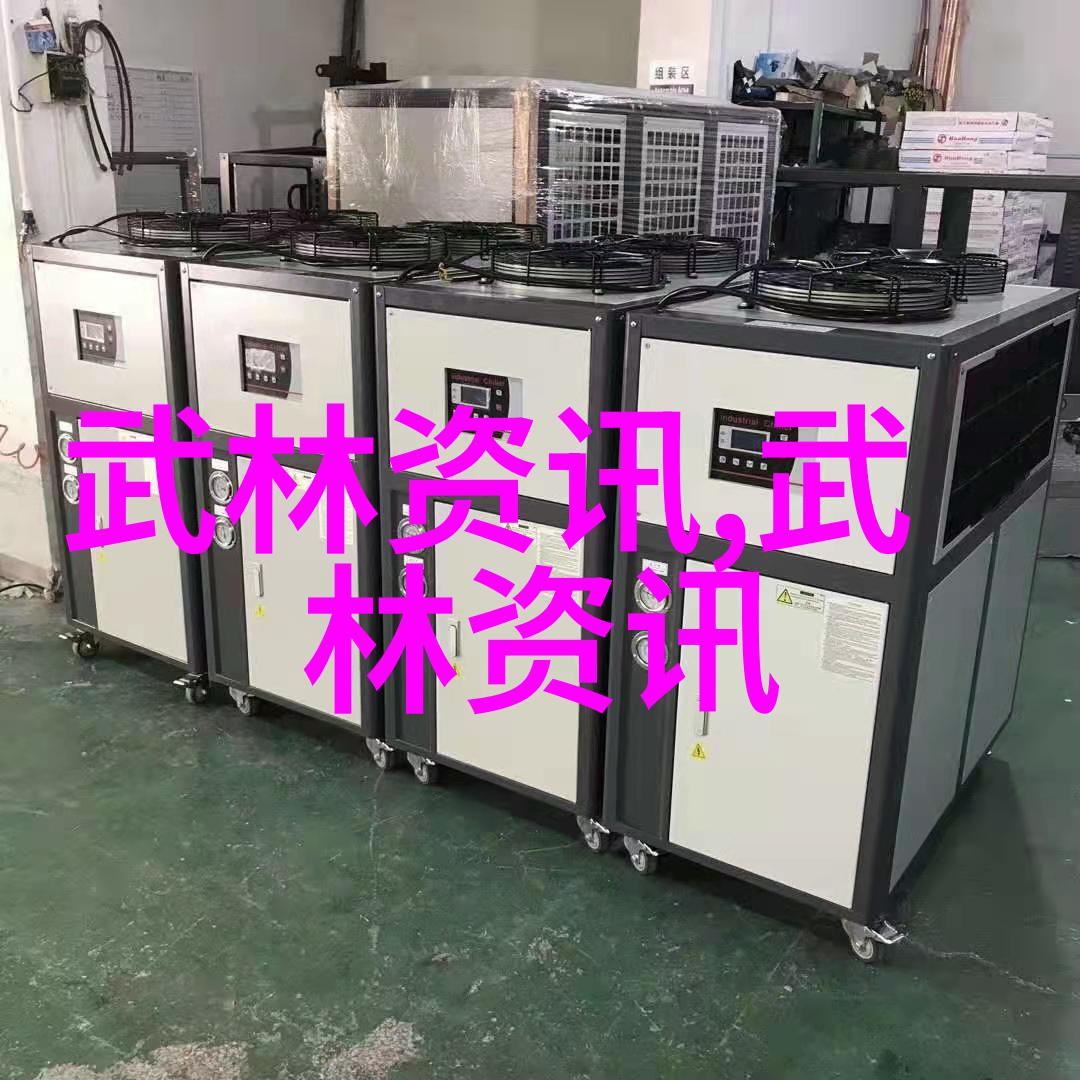 自学八极拳的成功之路探索非传统学习方式中的武术成就