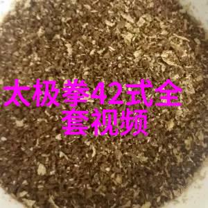 幽兰之谜