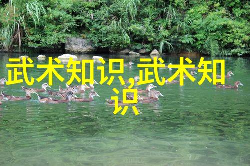 晨曦小说网阅读的乐园与创作的殿堂