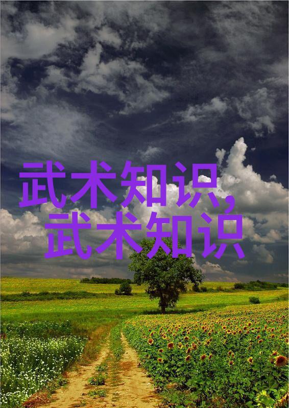为什么要选择二十四式作为教材而不是其他形式的太極拳图解呢