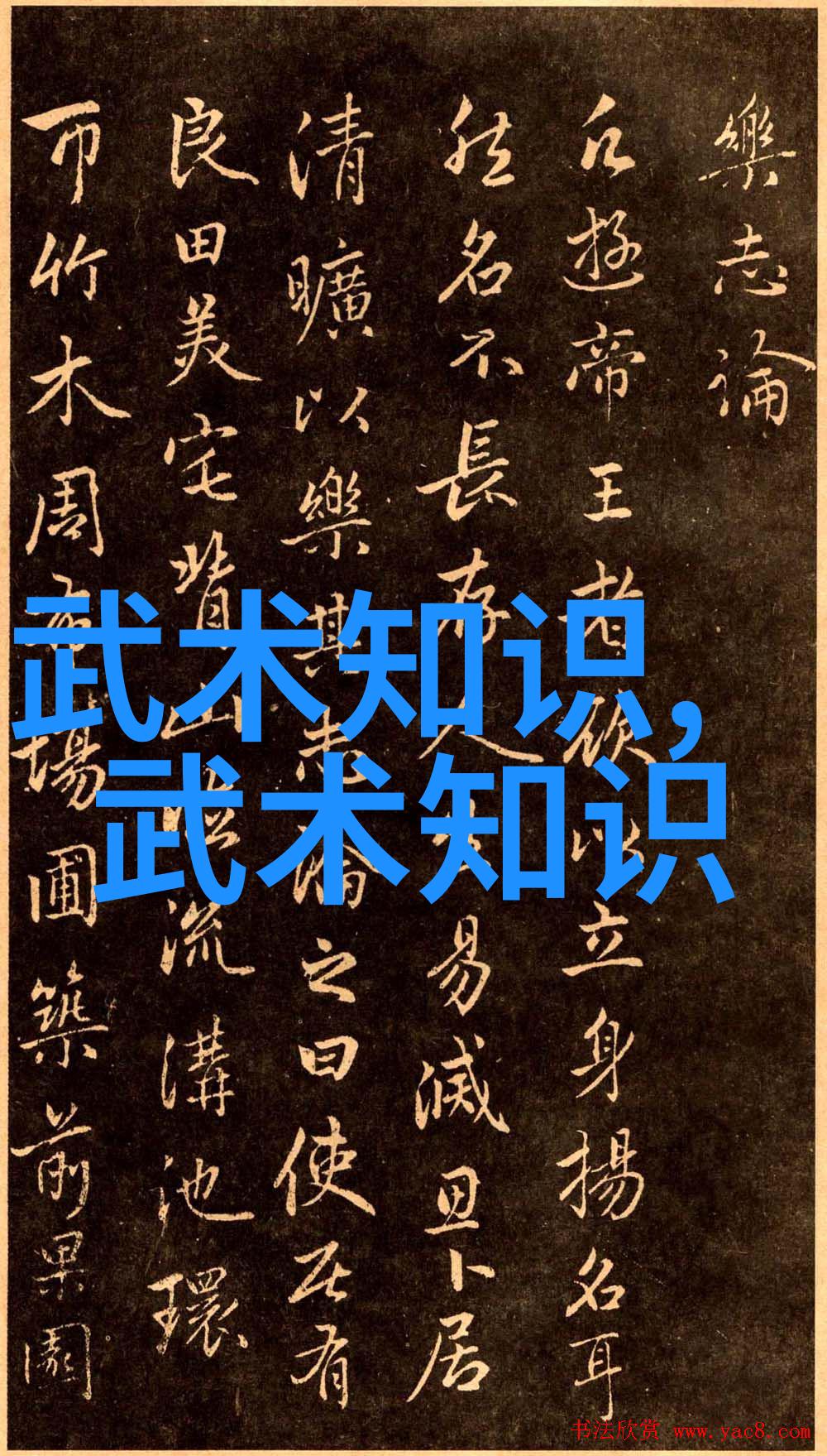 中国传统拳法种类繁多武术中的精华