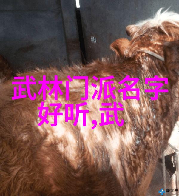 动作细节分析深入浅出理解每一个姿势在简易24式中的作用