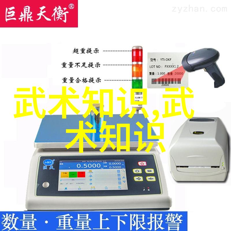 武林秘籍招式大全带图中华古代武学精华集