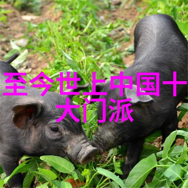 武术传承解锁古老功夫秘籍的力量