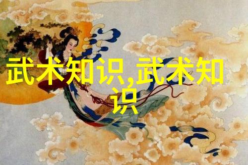 李小龙的功夫教学视频我跟着李小龙教练学武从入门到精通