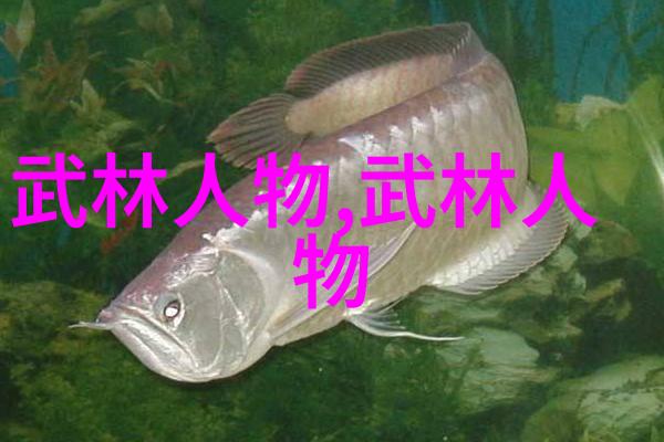 武侠秘籍我如何学会这门神奇的身法秘籍