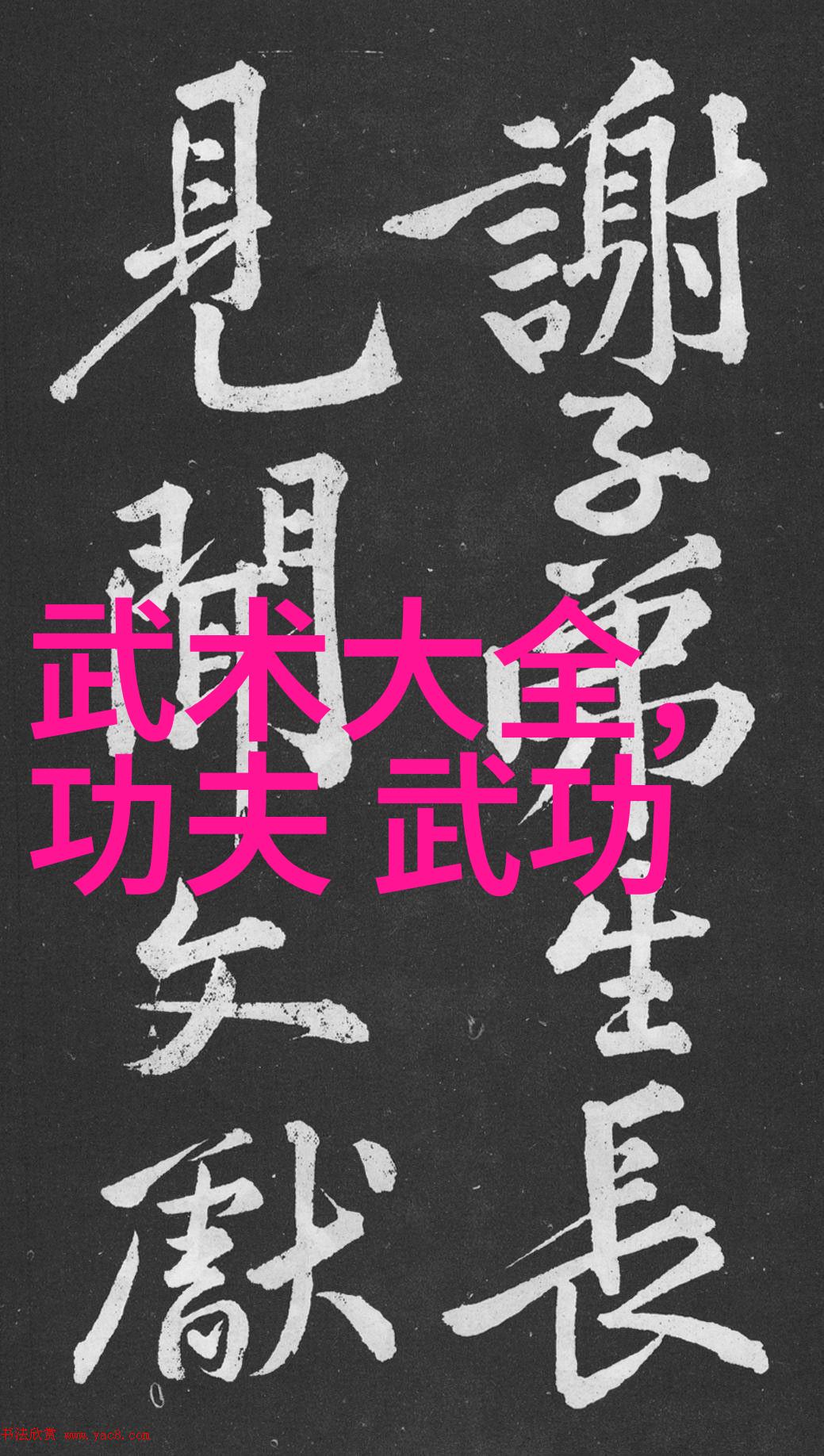 中国古代为什么发展出多种不同的武术拳法