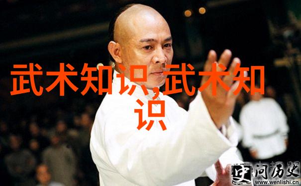 江湖秘籍揭秘武林绝学的神秘面纱