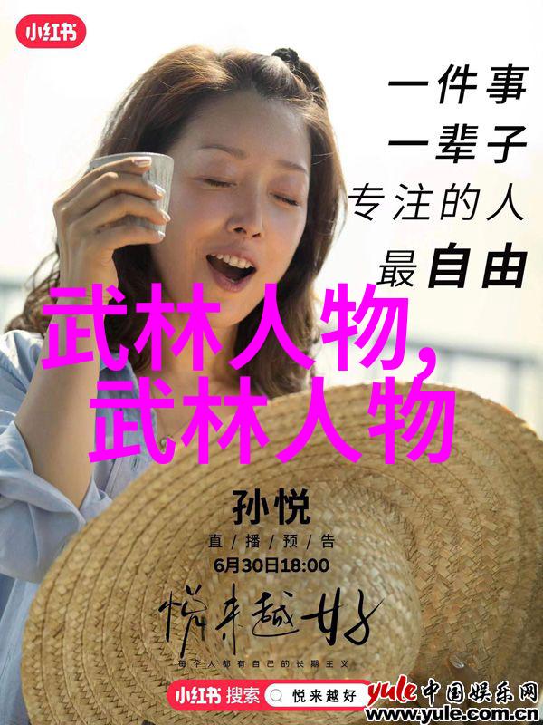 中国武术的巅峰之作探索最为人熟知的内家外家流派