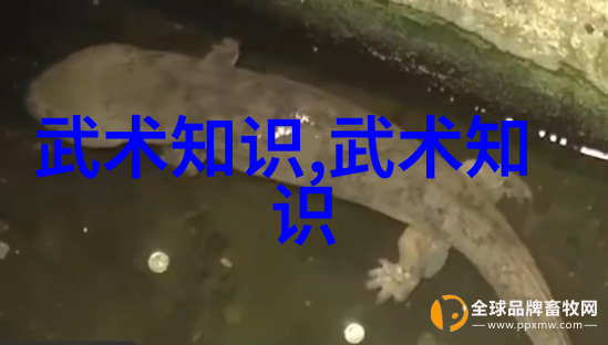 武术技能-精通功夫的秘诀练习方法与技巧探究