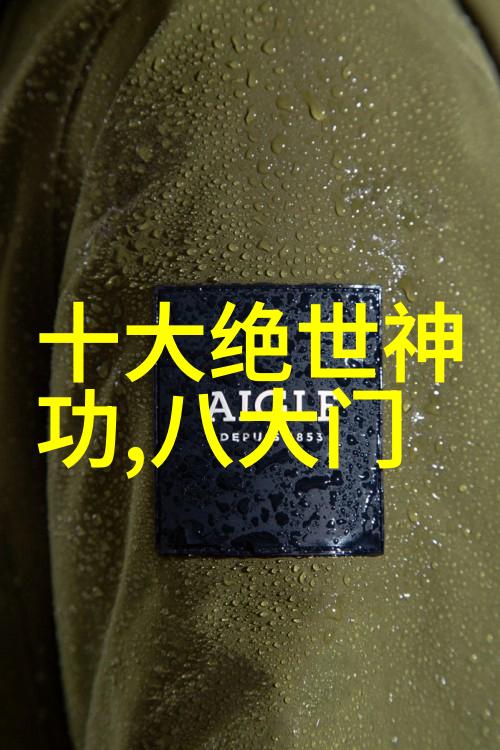 自学八极拳能成功吗探索个人成长与武术修炼的边界