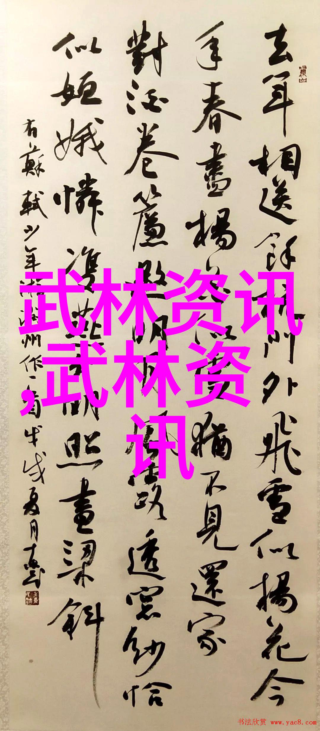 风暴拳士会精彩纷呈八法拳大师之旅