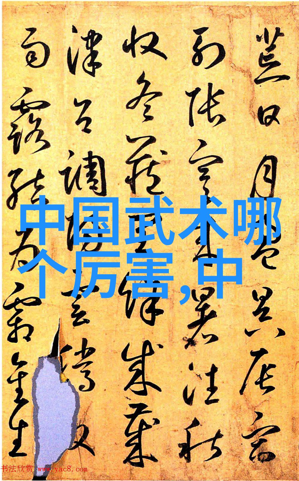 中国武术史上的巅峰之作揭秘最强十式