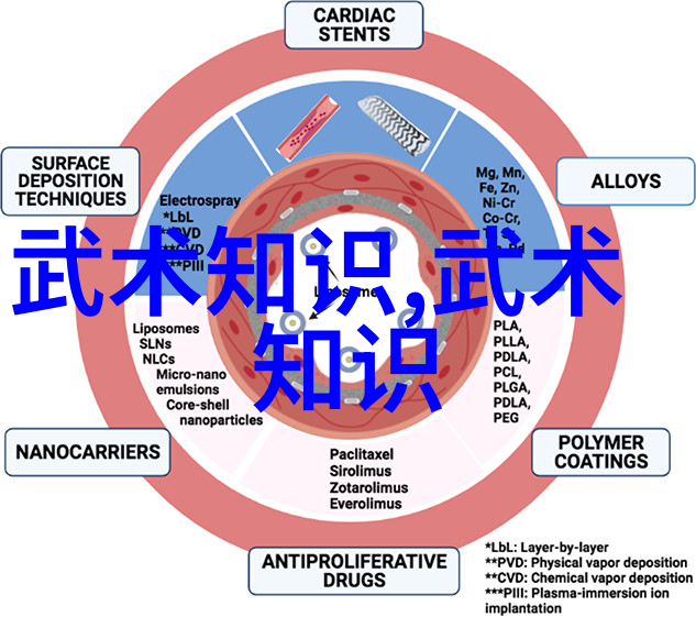 水调歌头 游泳自由泳技术动作解析