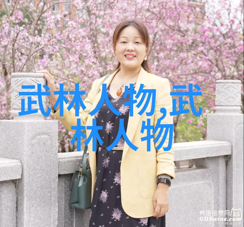 武术知识-悟拳之道解读古典武术技巧与哲学