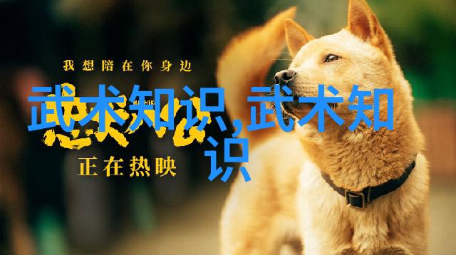 轻功练习秘籍如何快速掌握轻功技巧