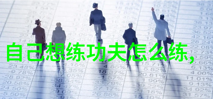南拳与华拳之争比较研究及其文化深度分析