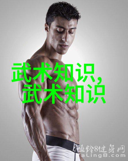 武林秘籍中的奥秘解密