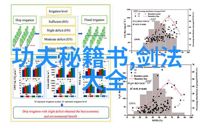 武术修炼境界划分系统研究与实践全集