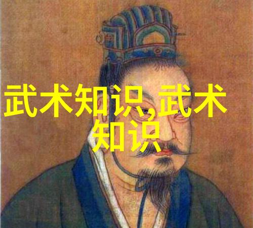 请问南拳北腿是什么概念它在中国武术中的地位如何