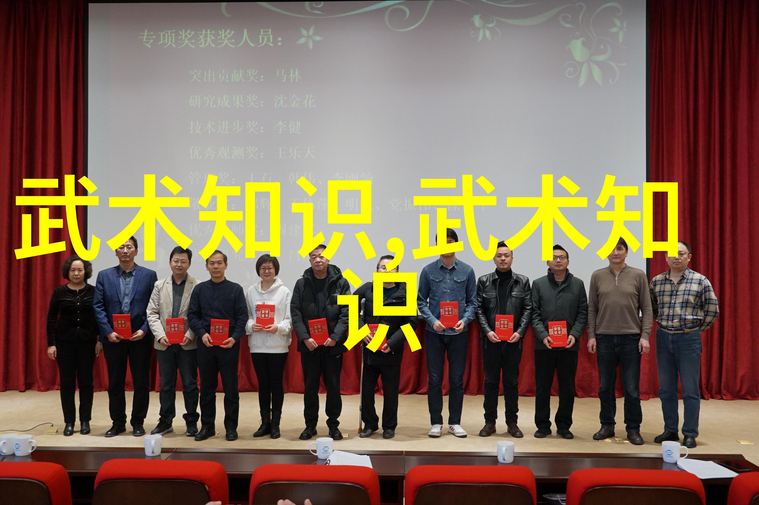 古风联盟腾挪架太极拳的咏春之舞
