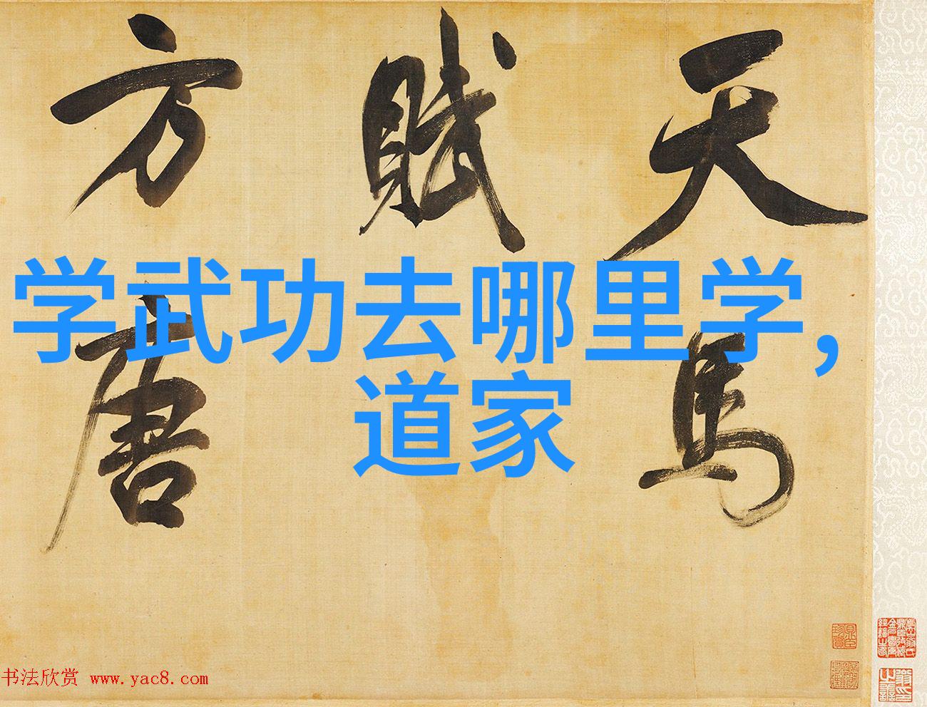 古代武功秘籍我手中的千年江山揭秘那些让你一夜暴富的武学神器