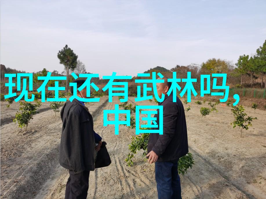 贵州有没有武林门派探秘贵州寻找那些隐藏的武林门派