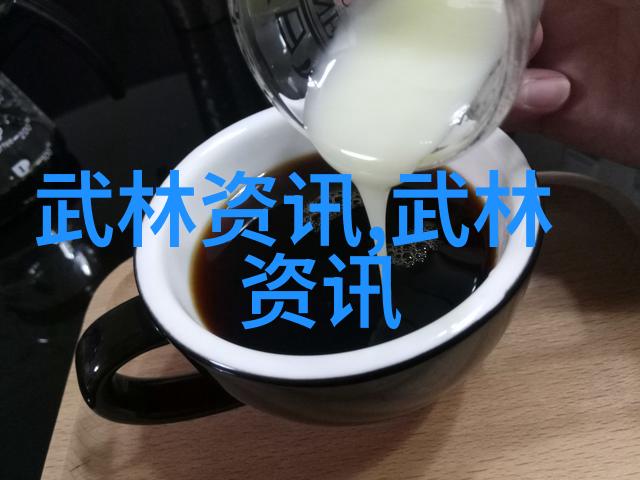 中国功夫有什么拳法 我的武侠世界揭秘中国武术中的精彩拳法