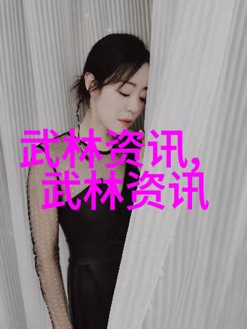 中华武术之魂拳法的传承与演变