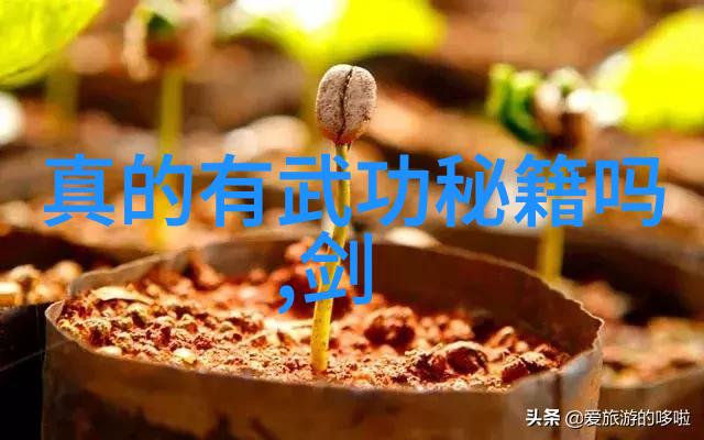 武术探索-全国武术门派大汇总揭秘千年功夫传承