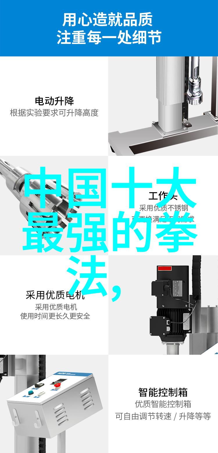 剑锋与掌门解析武功与武术的深邃差异