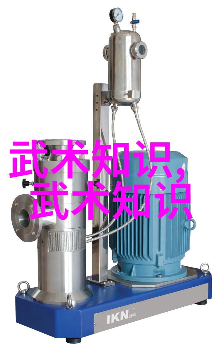 武林高手争霸刀剑与拳脚的终极对决