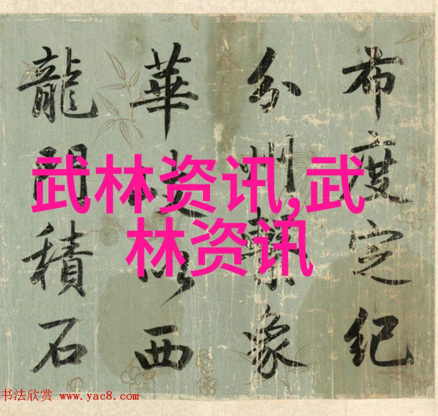 清风剑门宗岳太极拳传承之宝藏古卷